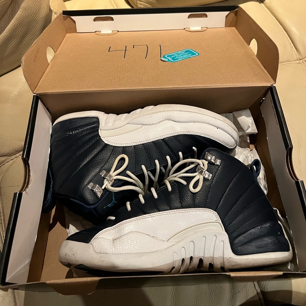 Air Jordan Obsidian 12s
